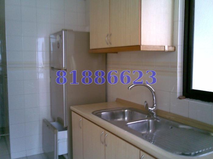 Tanglin Park (D10), Condominium #63291072